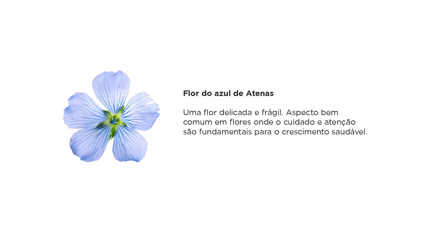 Athena Baby — imagem 3